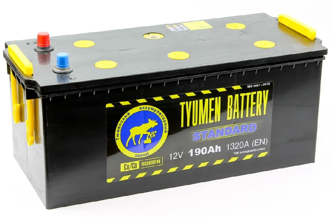 Тюмень STANDARD 6СТ -190 L евро.конус
